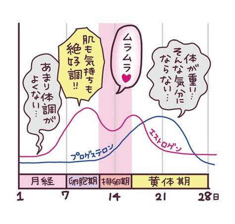 生理前 sex|生理前は性欲がアップする？ダウンする？原因やセックスする際。